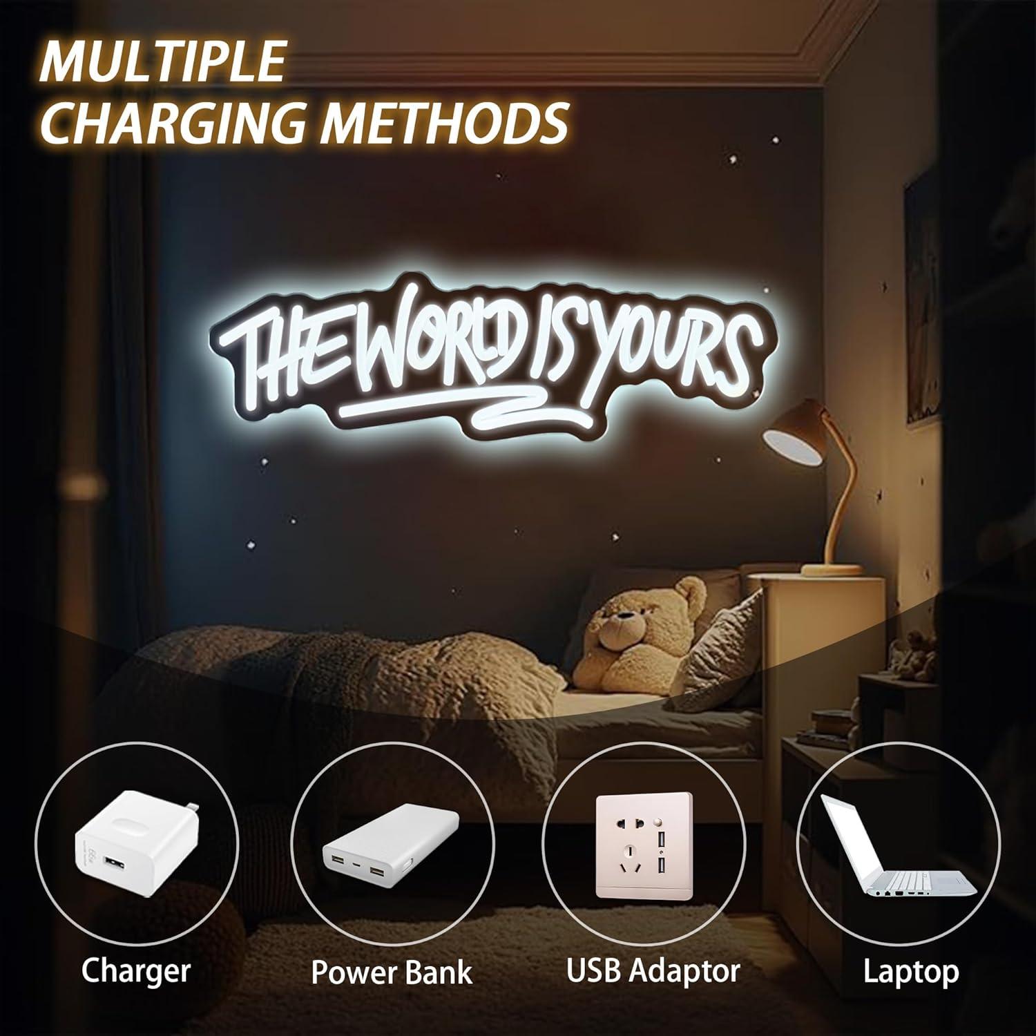 The World is Yours ネオンサイン USB電 - Neon Sign Party のレビューと価格